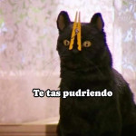 ^_°Animes vistos :) <3